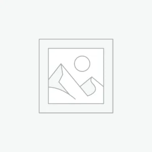 B2B Databases
